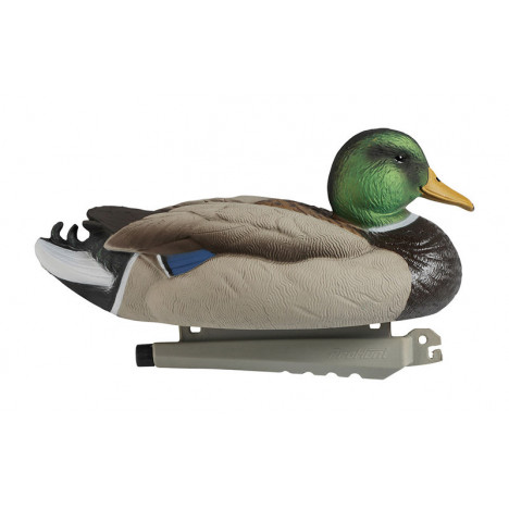 Decoy Duck PHAPC001